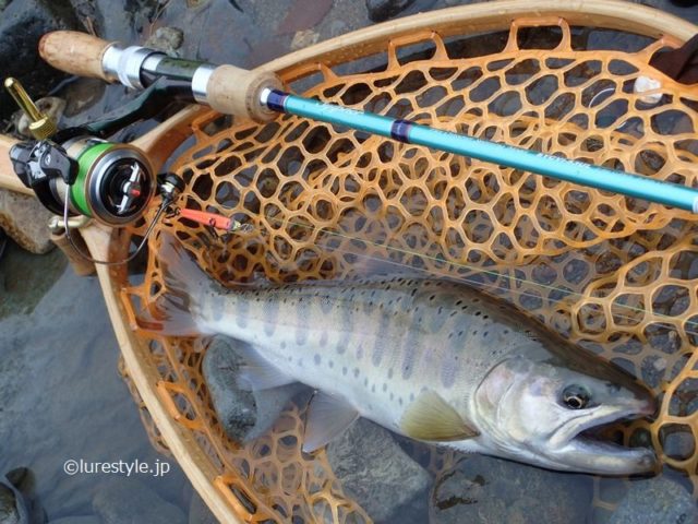 シーズン終盤の渓流ルアー釣行 前半 泣き尺ヤマメをキャッチ