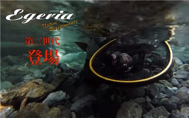 パームス 2019 NEW エゲリア ネイティブパフォーマンス