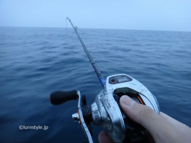 テンション低めな白イカ釣行